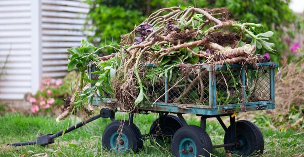 thumbnail of Garden Cart